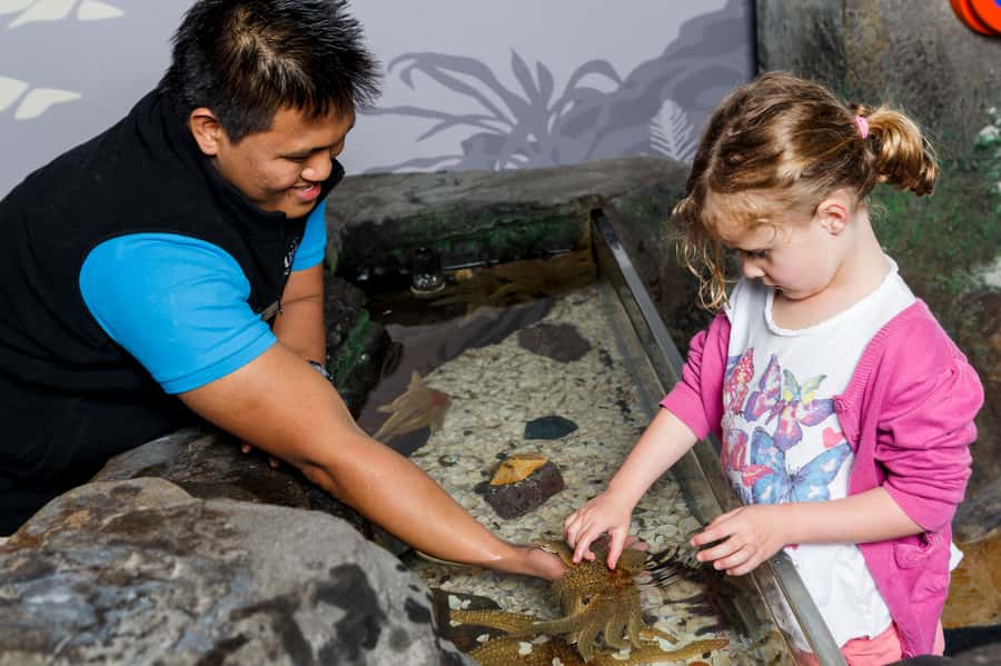 Sea Life Kelly Tarlton's Aquarium General Admission - Practical timing and what to expect