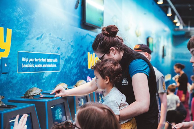 SEA LIFE Kelly Tarlton's General Admission - A realistic one-hour route