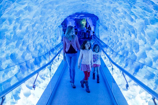 SEA LIFE Kelly Tarlton's General Admission - When to visit and how to plan the day