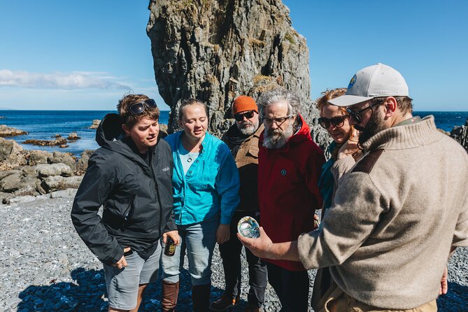 Seal Coast Safari - Exclusive access to Wellington's secret coast - Why Wellington’s south coast is worth the trip