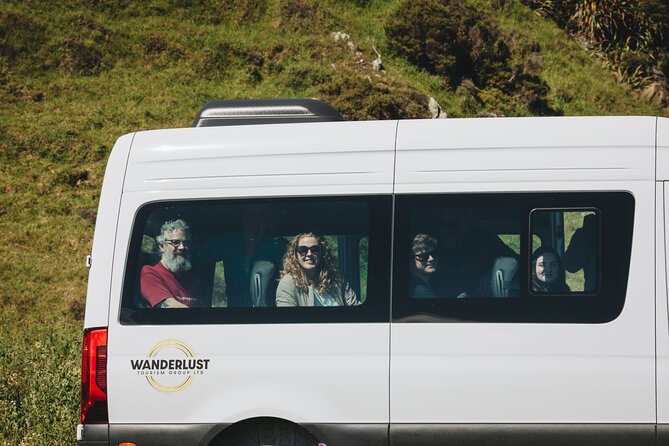 Seal Coast Safari - Exclusive access to Wellington's secret coast - Otari-Wilton’s Bush begins with native plants