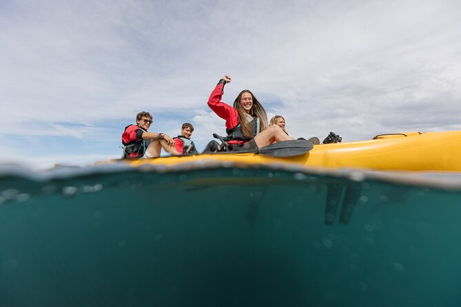 Seal Kayaking Adventure in Kaikoura - The guides make the difference