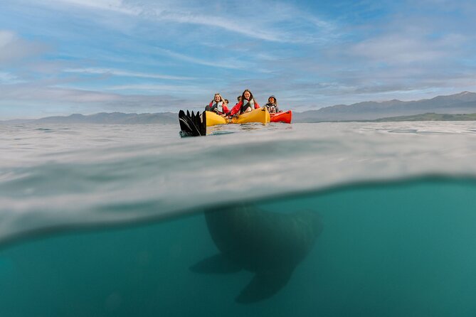 Seal Kayaking Adventure in Kaikoura - Who should book this Kaikoura outing?