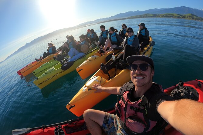 Seal Kayaking Adventure in Kaikoura - Booking, weather, and cancellation advice
