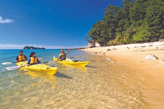 Seal Sanctuary Tour - Guided Kayaking - New Zealand - From water taxi to the Astrolabe coastline