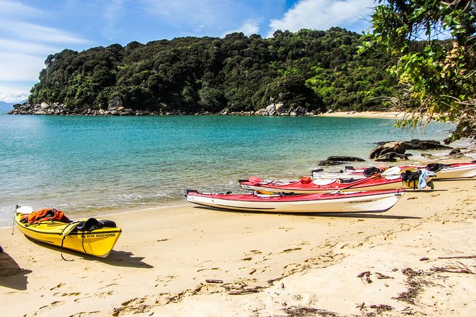 Seal Sanctuary Tour - Guided Kayaking - New Zealand - A beach lunch with local produce
