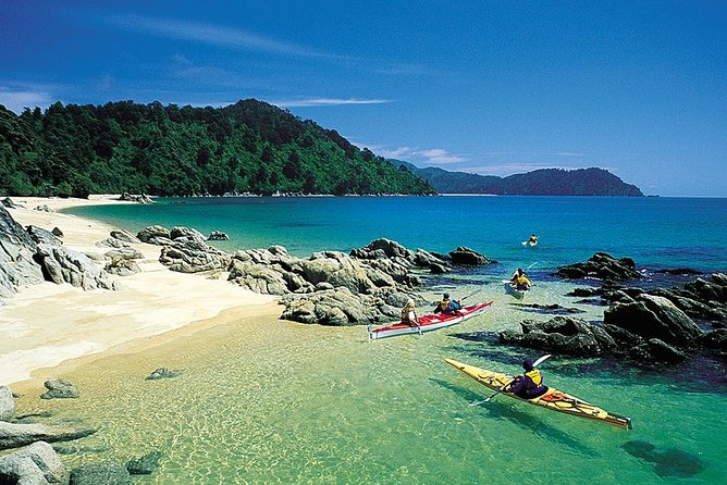 Seal Sanctuary Tour - Guided Kayaking - New Zealand - What the equipment and support add