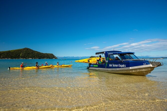 Seal Sanctuary Tour - Guided Kayaking - New Zealand - How the tour compares with a simple boat trip
