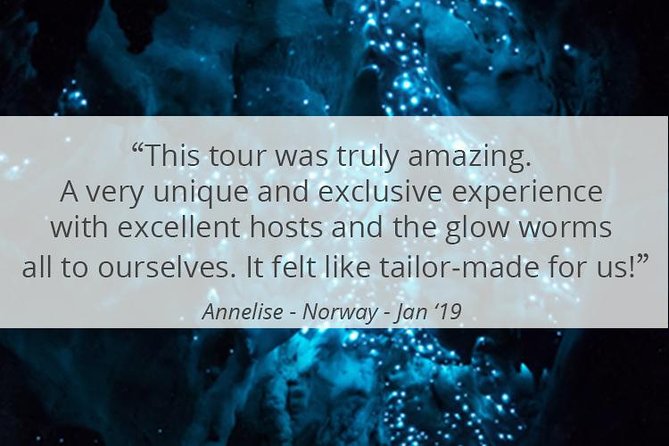 See Auckland's Secret Glow Worms - Why this Auckland night walk is worth considering