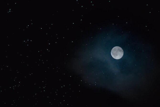 See Auckland's Secret Glow Worms - What the private format adds