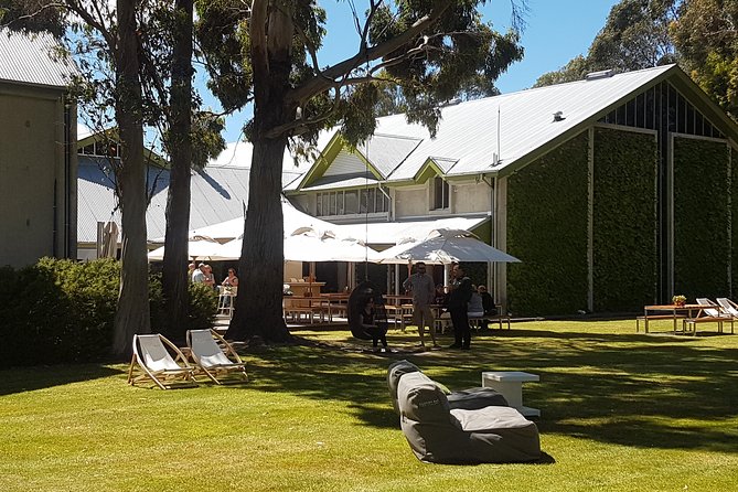 Self-Guided Biking Wine Tour (full day) in the Marlborough Region. - Riding the vineyard roads