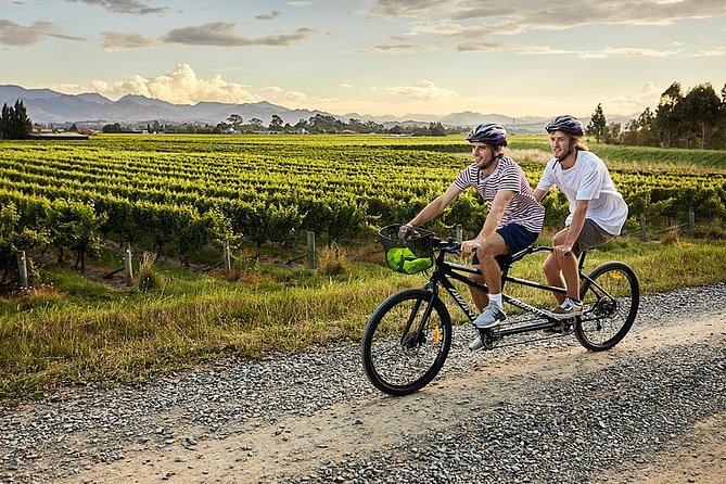 Self-Guided Biking Wine Tour (full day) in the Marlborough Region. - What the wine stops cost