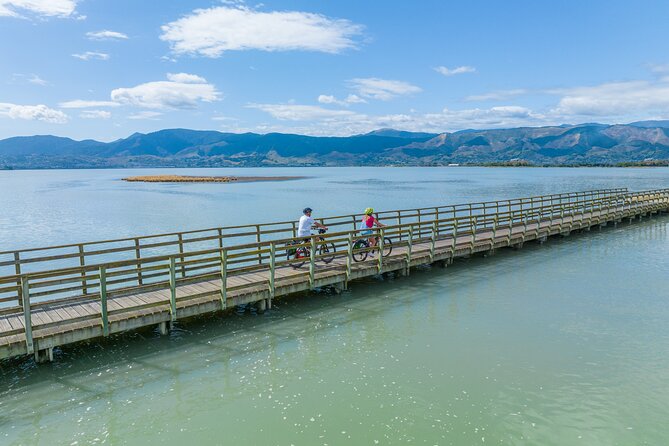 Self-guided E-bike cycle tour with private wine tasting - Who will enjoy this Nelson outing most?