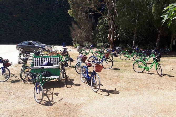 Self Guided Martinborough Wineries Bike Tour - Pedaling Martinborough’s compact wine roads