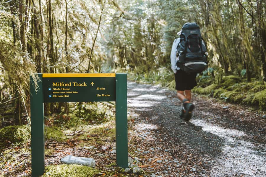 Self-Guided Milford Track Day Walk from Lake Te Anau - Key points to know before you go