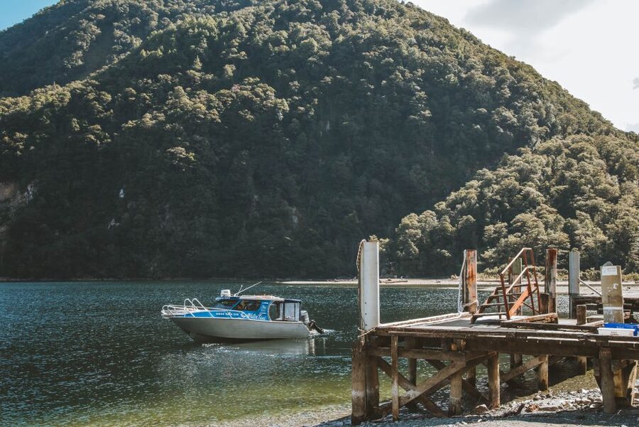 Self-Guided Milford Track Day Walk from Lake Te Anau - The Clinton River swing bridge
