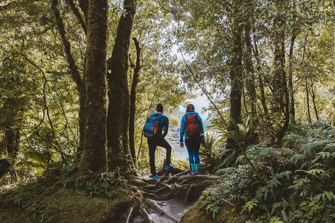 Self-Guided Milford Track Day Walk - Milford Sound - Weather, clothing, and practical preparation