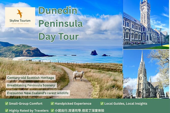 Shared Small Group Dunedin City and Peninsula Scenery Day Tour - A full day from Port Chalmers to Taiaroa Head