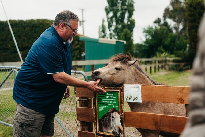 Sheep Farm Day Trip from Christchurch + Lunch and Winery visit. - The Waipara Valley winery visit