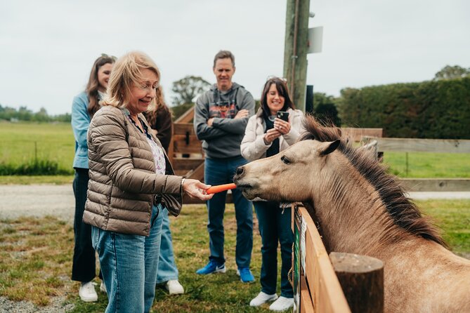 Sheep Farm Day Trip from Christchurch + Lunch and Winery visit. - The value of the $183.07 price