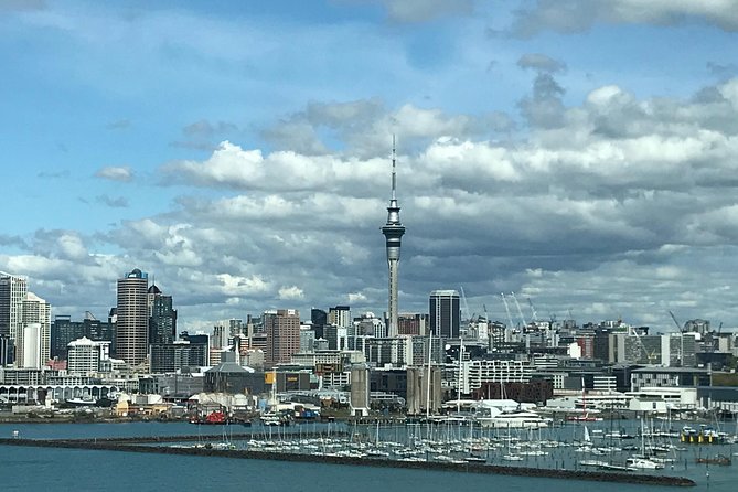 Sheep Shearing and Auckland City Highlights Tour with Lunch - Little Shoal Bay and the Auckland Domain