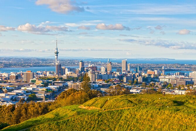 Sheep Shearing and Auckland City Highlights Tour with Lunch - Mission Bay, St Heliers, and Achilles Point