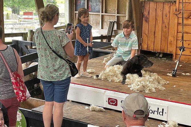Sheep World Country Tour from Auckland - Booking details and cancellation