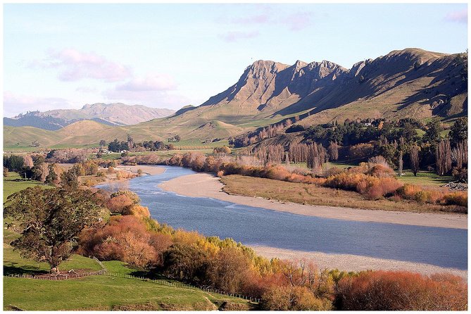 Shore Excursion: 4-Hour Discover Hawkes Bay and Napier Tour - A useful first look at Hawke’s Bay