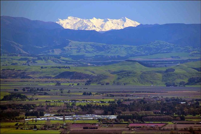 Shore Excursion: 4-Hour Discover Hawkes Bay and Napier Tour - Guides, commentary, and the feel of the ride