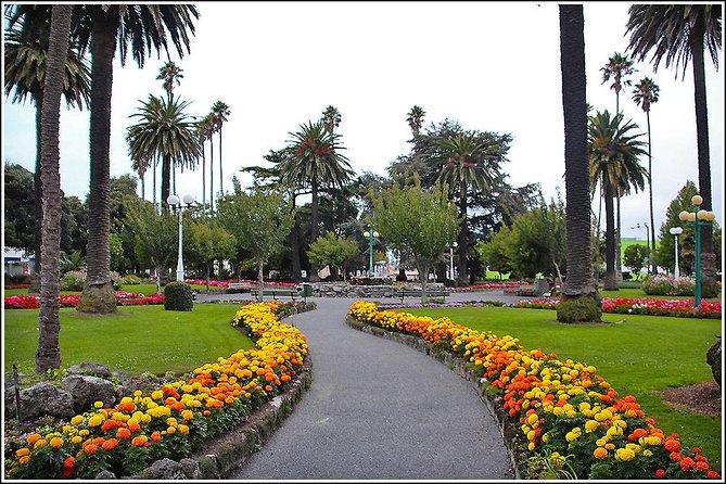 Shore Excursion: 4-Hour Discover Hawkes Bay and Napier Tour - Vehicle comfort and the best seats