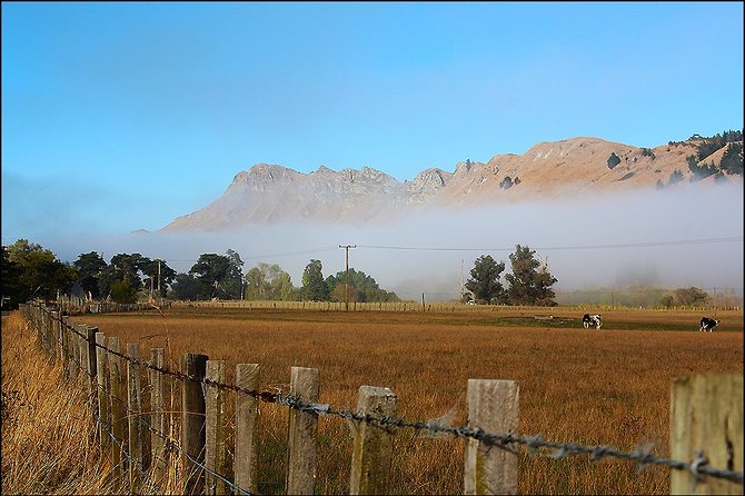 Shore Excursion: 4-Hour Discover Hawkes Bay and Napier Tour - Port timing and finishing in Napier