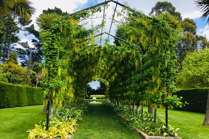 Shore Excursion: Dunedin City, Otago Peninsula, Castle Gardens & Olveston Tour - The Botanic Garden adds a quieter pause