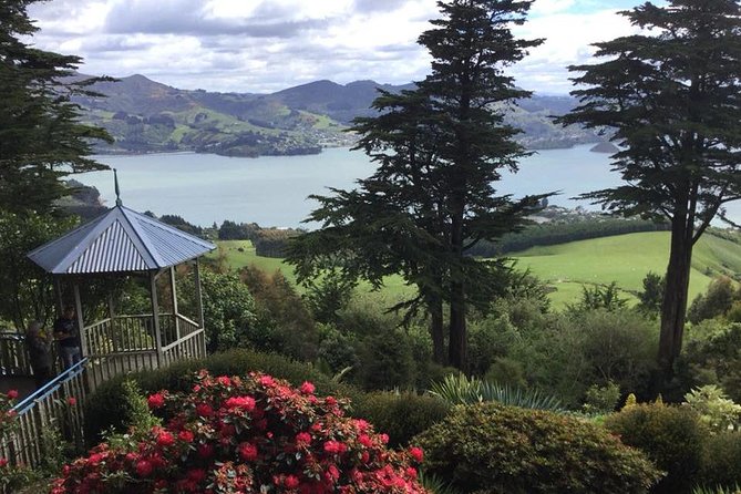 Shore Excursion: Dunedin City, Otago Peninsula, Castle Gardens & Olveston Tour - Baldwin Street starts the day with a steep surprise