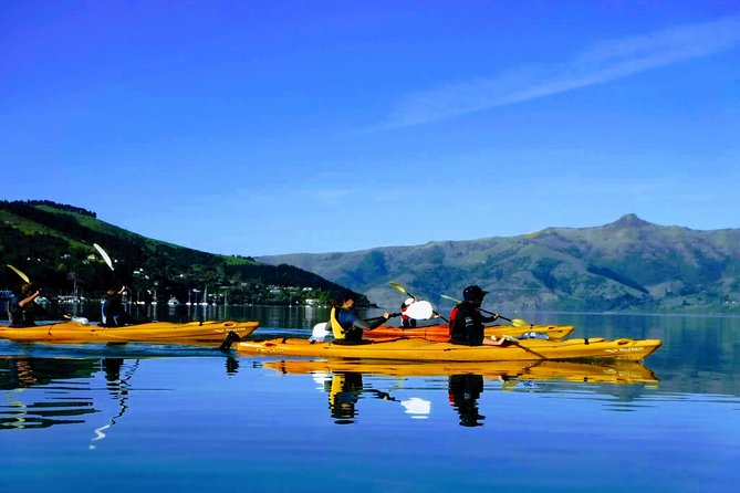 Shore Excursion Guided Sea Kayaking through Akaroa Marine Reserve - Why Akaroa Is Made for a Sea Kayak