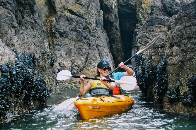 Shore Excursion Guided Sea Kayaking through Akaroa Marine Reserve - What Happens During the Two to Three Hours