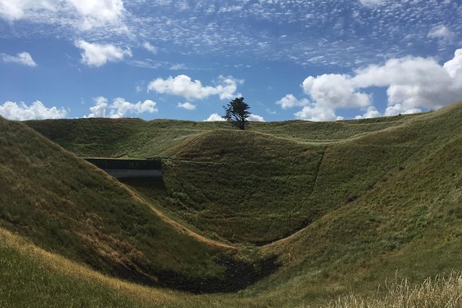 Shore Excursion: Half-Day Auckland Volcanoes Tour - Why Auckland’s Volcanoes Are Worth Your Morning