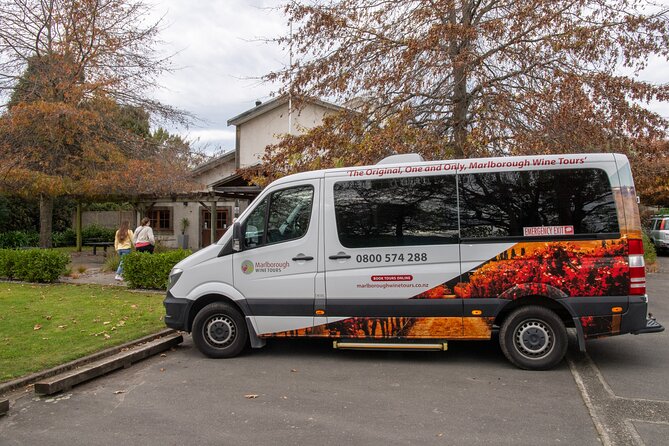 Shore Excursion Marlborough Wine Region Tour from Picton - Why this Picton shore trip works so well