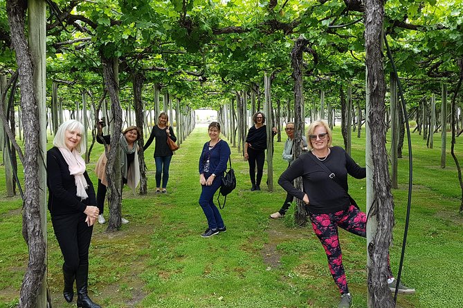 Shore Excursion Marlborough Wine Region Tour from Picton - Lunch at a winery is useful, but budget extra