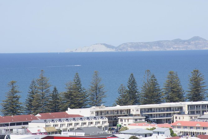 Shore Excursion: Napier and Surrounding Countryside Scenic Tour - Marewa’s Art Deco homes