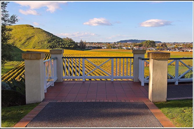 Shore excursion - Napier sight seeing/Art Deco Tour, - The guides can shape the experience