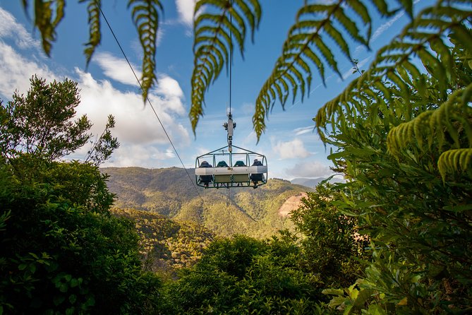 Skywire Adventure at Cable Bay, Nelson - Why the scenery is part of the value