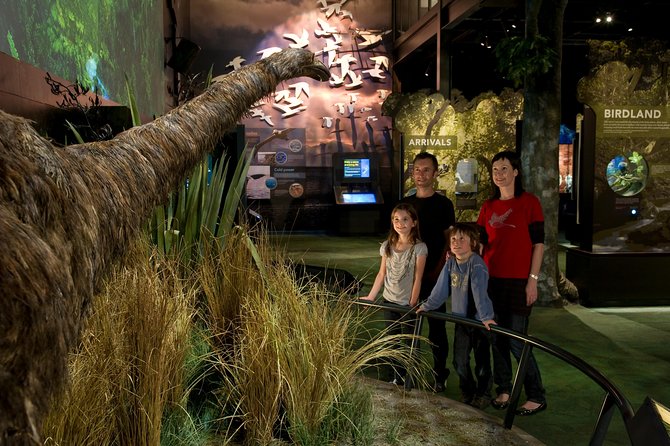 Small Group Daytime 2-Hour Eco Wildlife Tour at Zealandia - Starting at the Visitor Centre and short film
