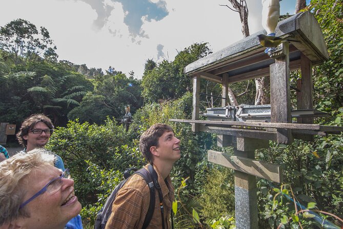 Small Group Daytime 2-Hour Eco Wildlife Tour at Zealandia - The birds you may hear before you see