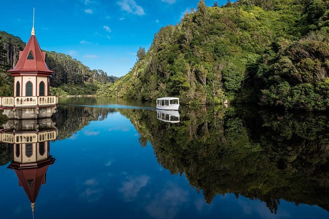 Small Group Daytime 2-Hour Eco Wildlife Tour at Zealandia - Why the small group improves the walk