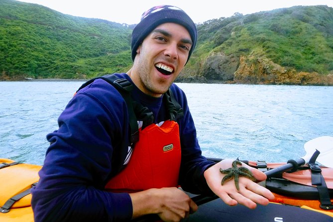 Small group guided sea kayaking in Akaroa marine reserve - Getting comfortable on the water