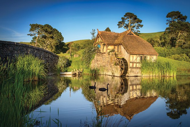 Small-Group Hobbiton Tour from Auckland with Party Marquee Lunch - Buffet lunch in the Party Marquee
