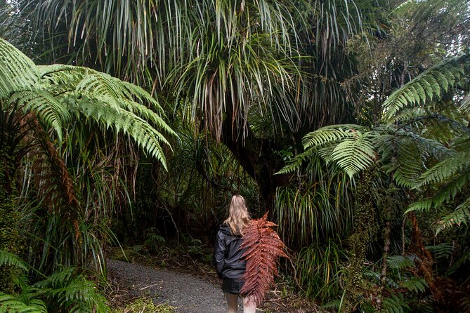 Small Group Northern Voyager 7 Days Tour - Guides, group size, and the social side
