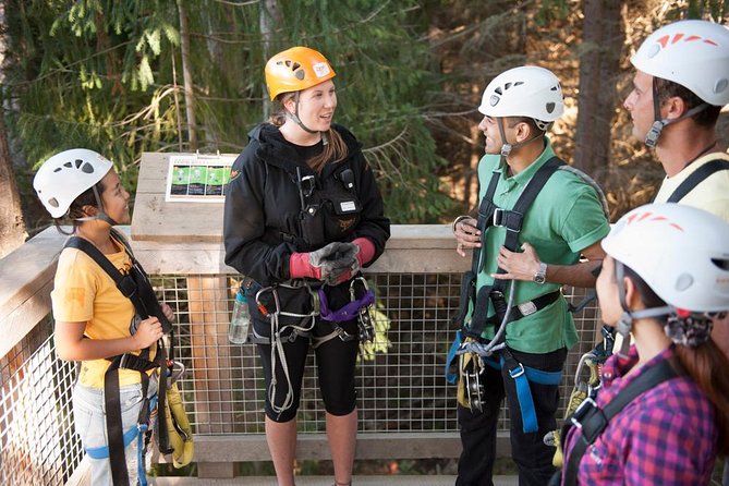 Small-Group Zipline Adventure in Queenstown - Starting at the Skyline summit
