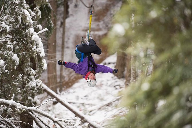 Small-Group Zipline Adventure in Queenstown - The first lines: forest, altitude, and orientation