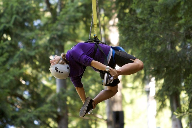 Small-Group Zipline Adventure in Queenstown - What the guides add to the experience